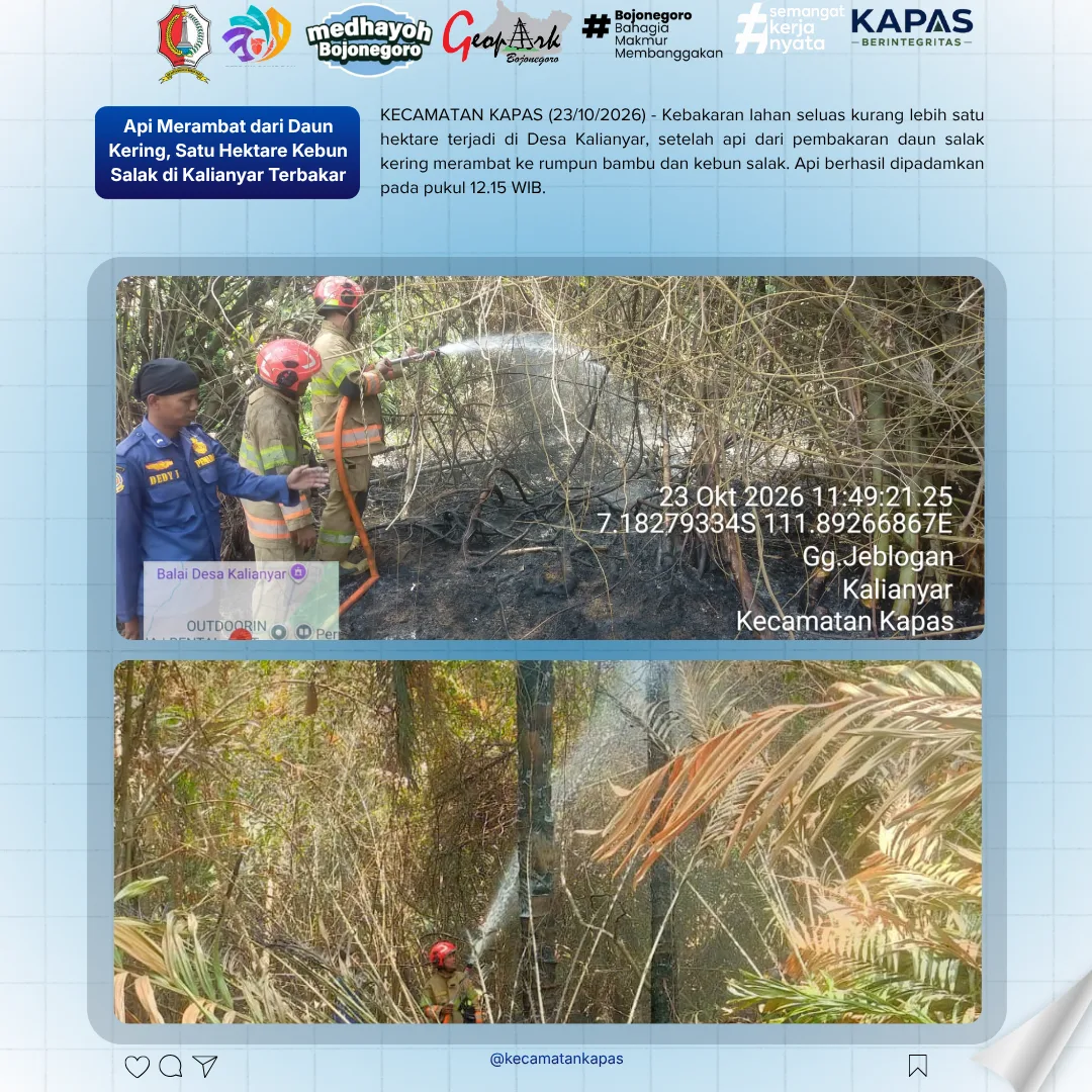 Api Merambat dari Daun Kering, Satu hektare Kebun Salak di Kalianyar Terbakar