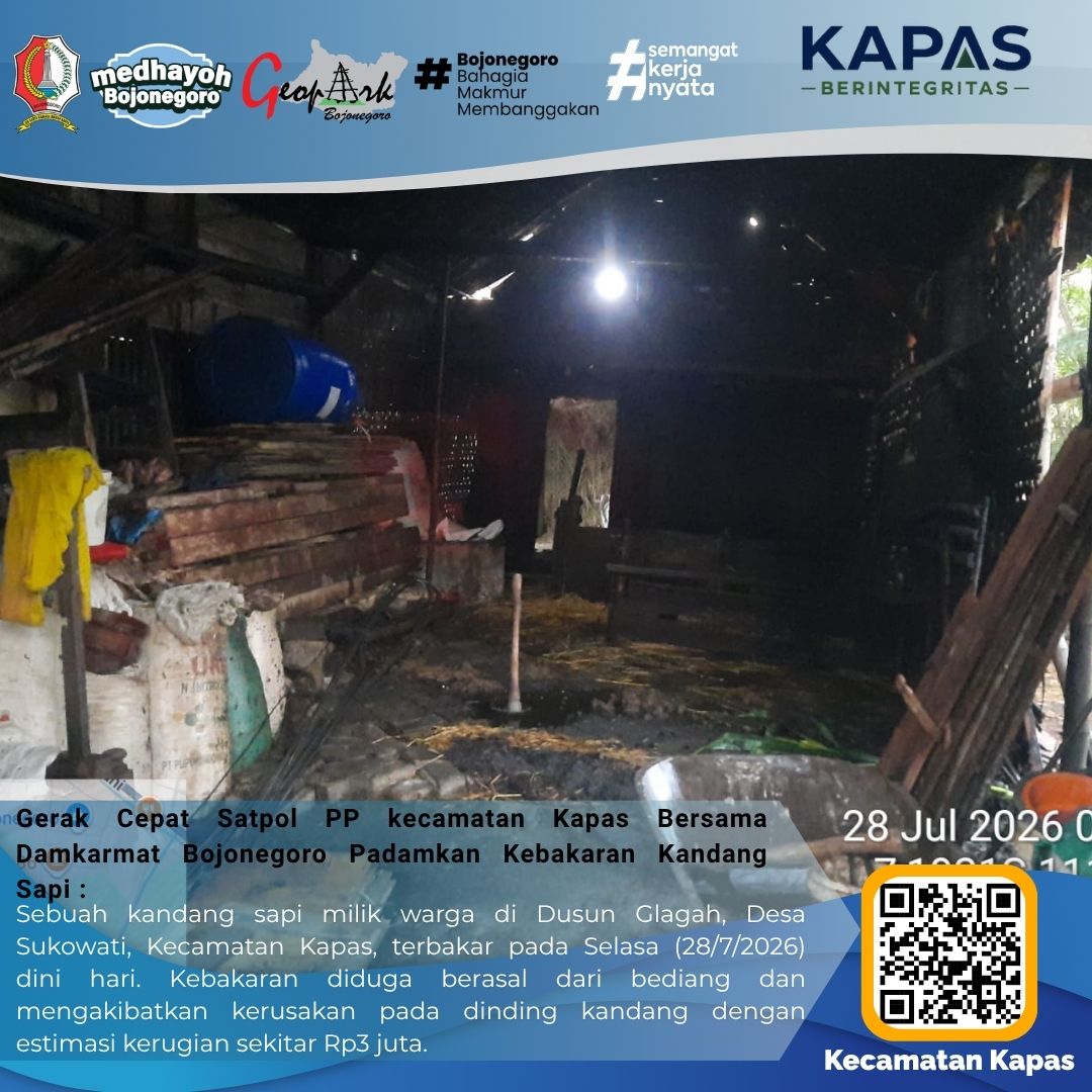 Gerak Cepat Damkarmat dan Satpol PP Kapas Padamkan Kebakaran Kandang Sapi