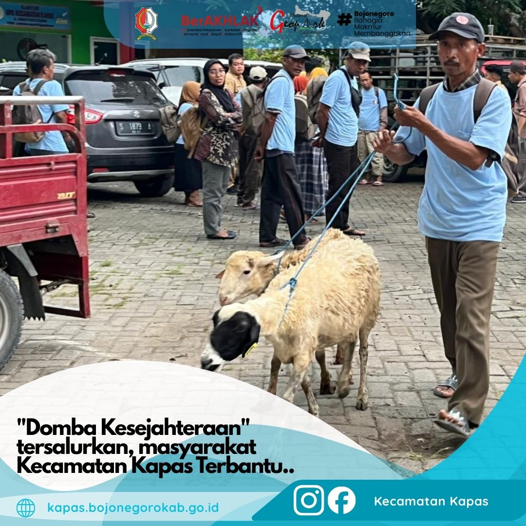 Berita 43