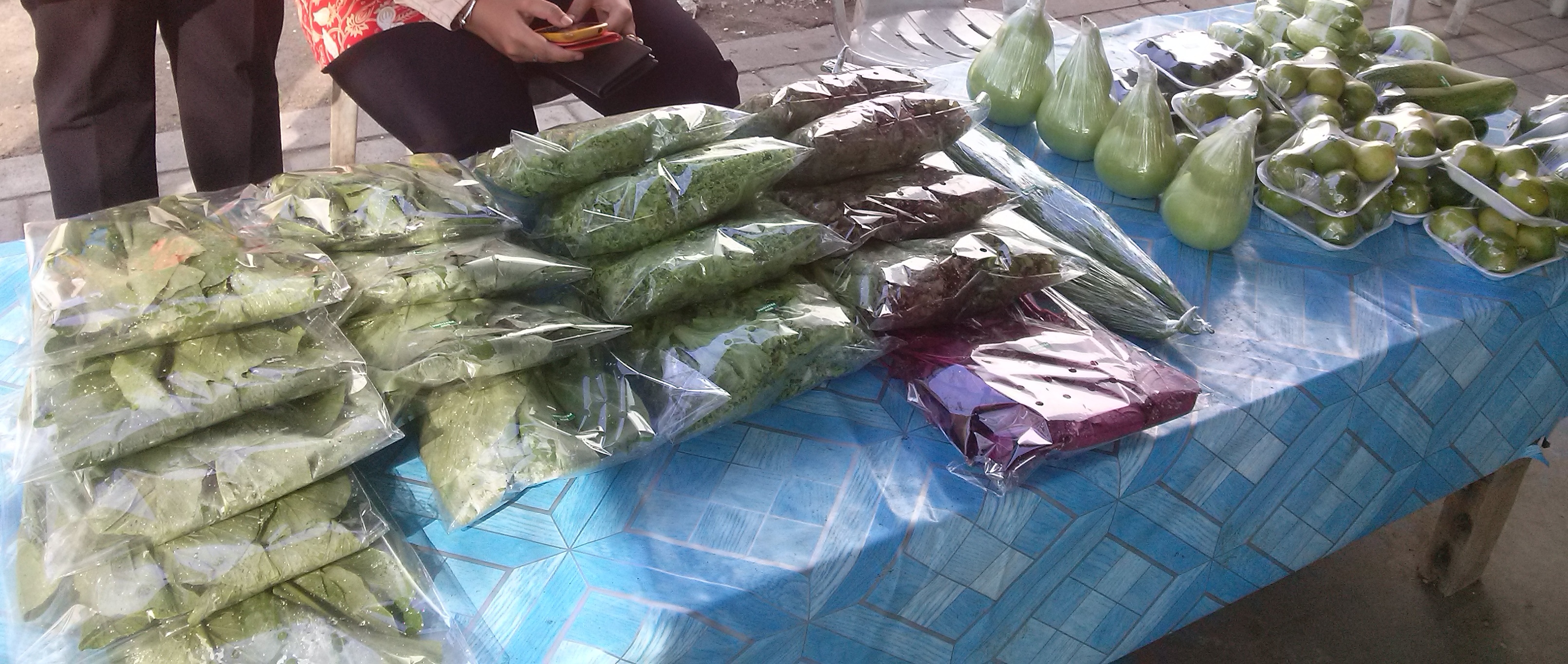 POTENSI KECAMATAN KAPAS